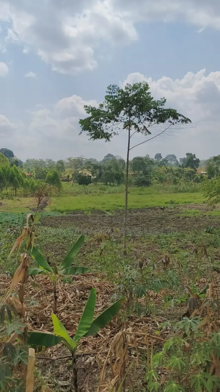 Land for Sale – Nazigo, Kayunga–jinja Road in Nazigo