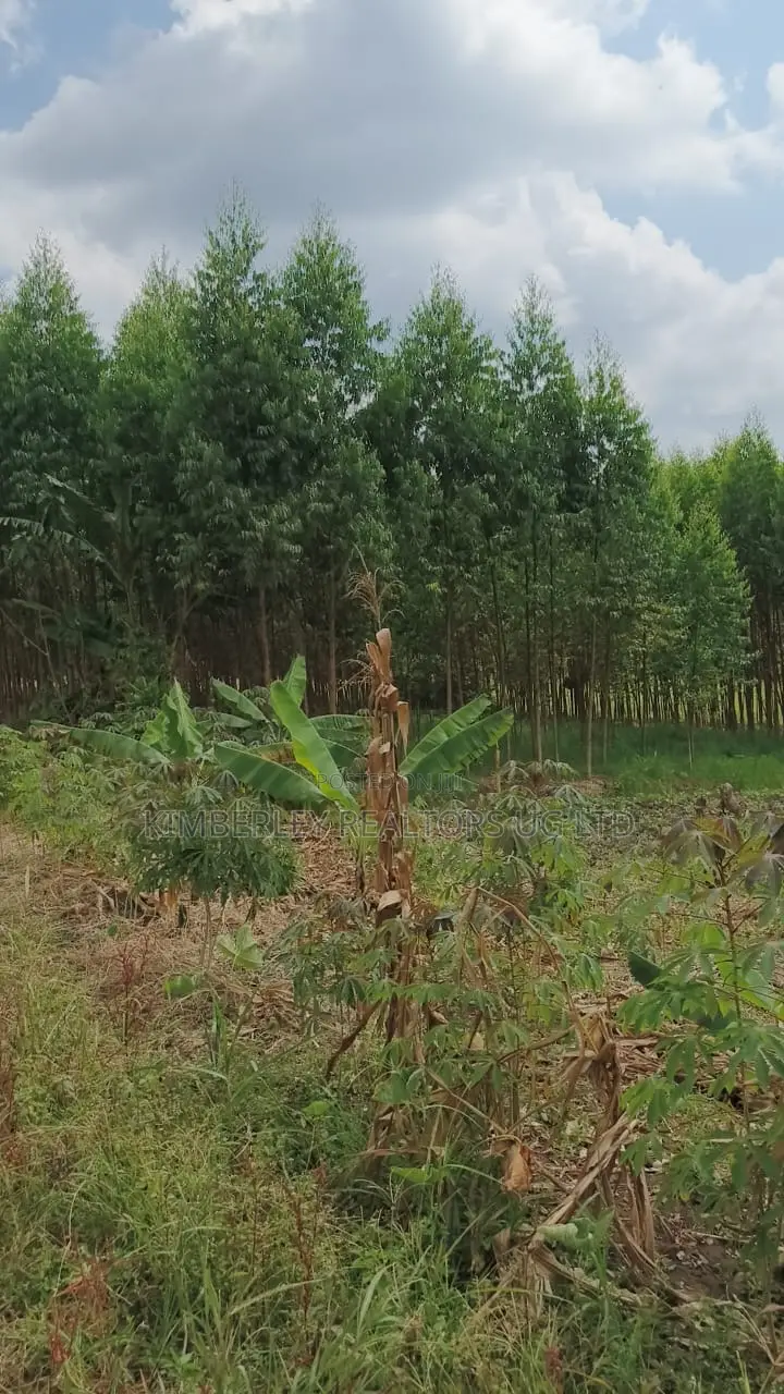 Land for Sale – Nazigo, Kayunga–jinja Road in Nazigo