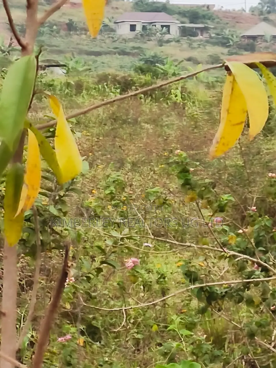 Land for Sale – Namugongo, Nkonzi Estate in Kira
