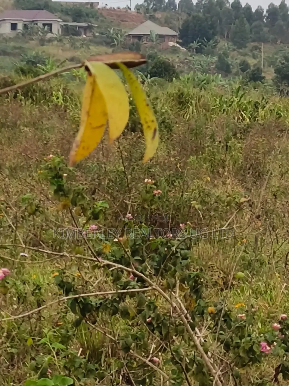 Land for Sale – Namugongo, Nkonzi Estate in Kira