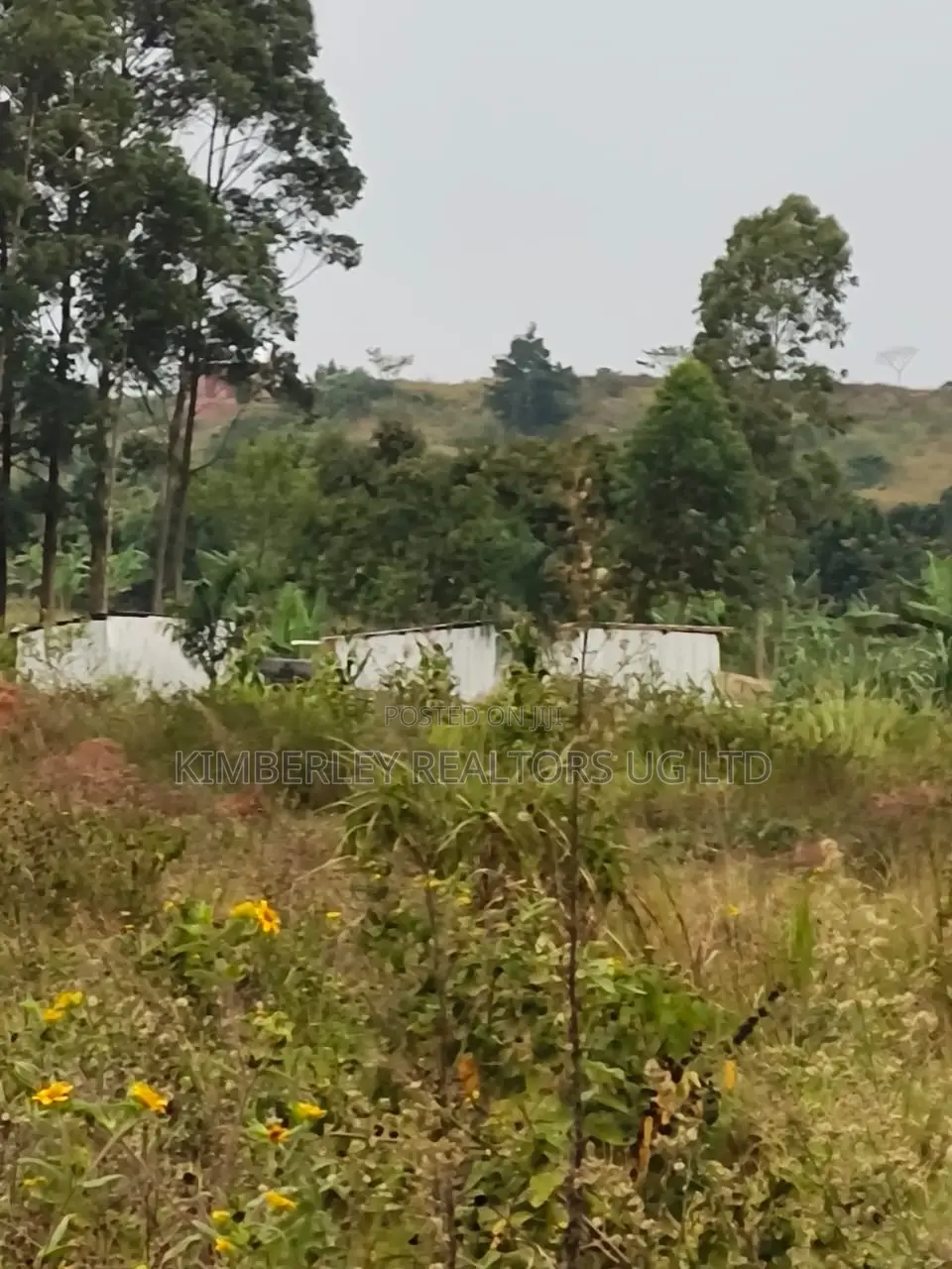 Quick Sale – Prime Plots for Sale, Mbalala in Seeta-Namuganga