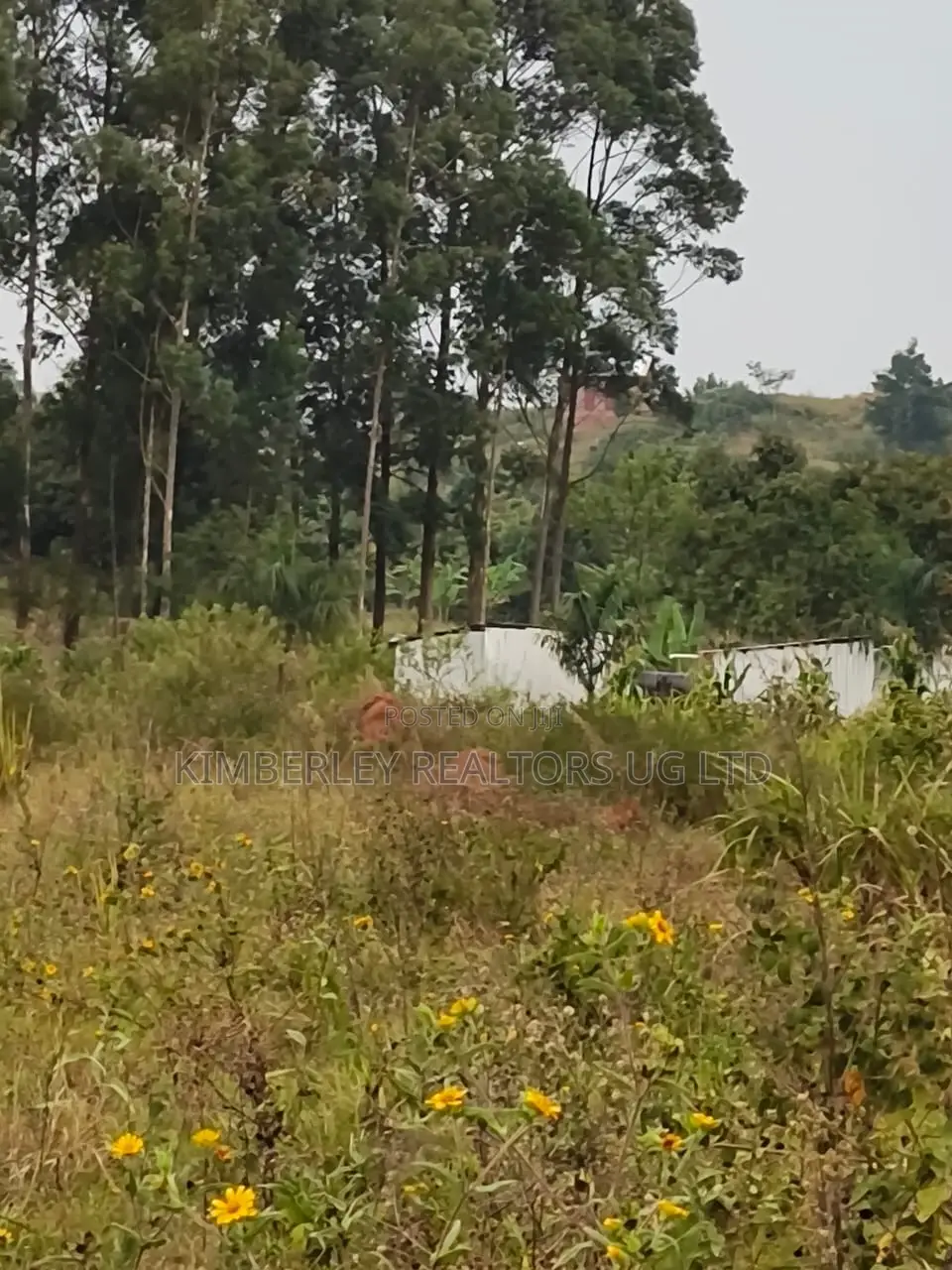 Quick Sale – Prime Plots for Sale, Mbalala in Seeta-Namuganga