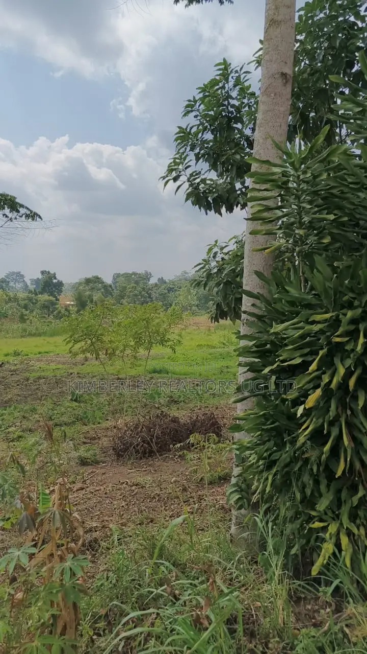 Farmland for Sale – Nyakisharara, Mbarara–ibanda Road in Mbarara