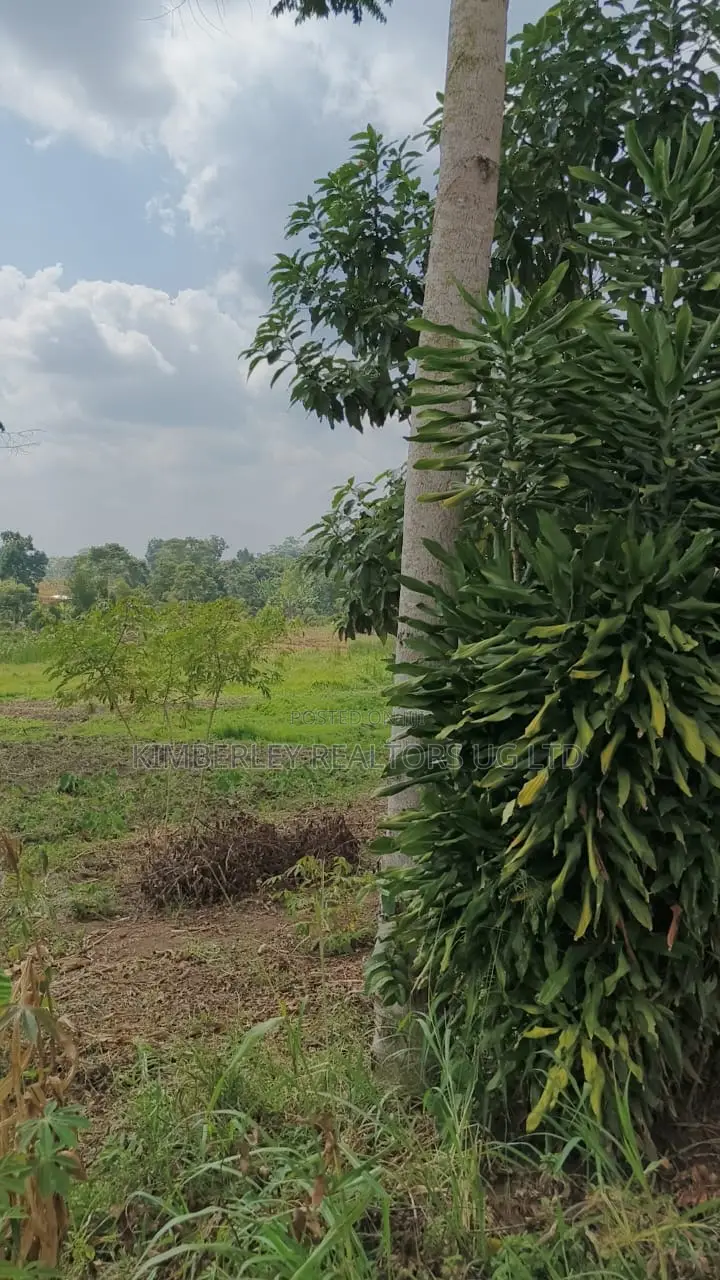 Farmland for Sale – Nyakisharara, Mbarara–ibanda Road in Mbarara