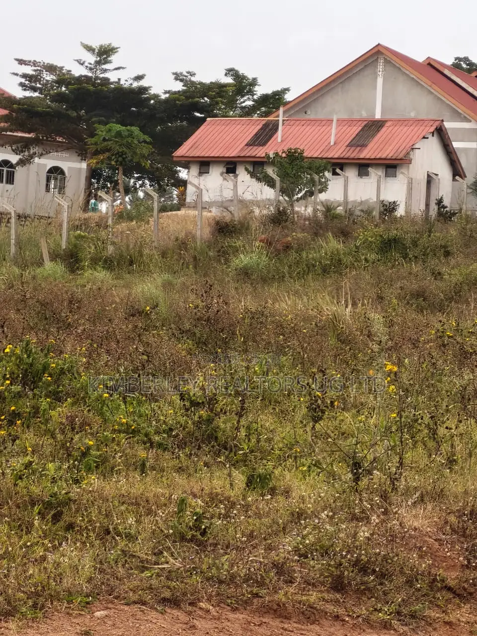 Plots for Sale – Wakiso Nkoowe, Bulababakulu in Division A