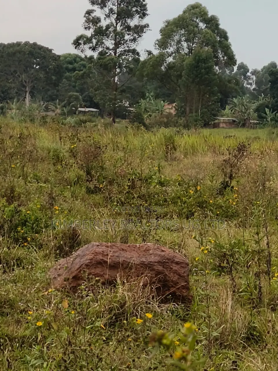 Farmland for Sale – Bugoma Kitwe, Bugerere in Division A