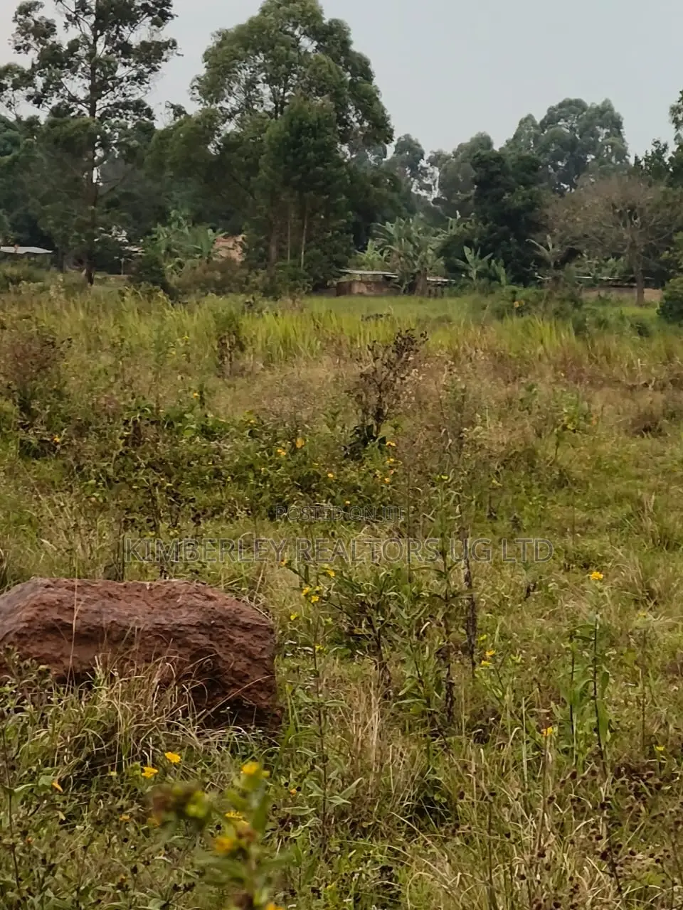 Farmland for Sale – Bugoma Kitwe, Bugerere in Division A