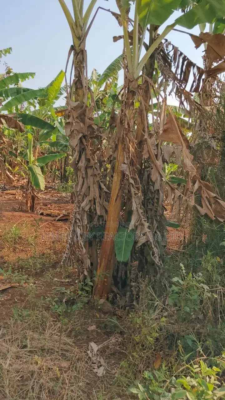 Land for Sale – Gayaza–kalagyi Road, Namalili in Division A