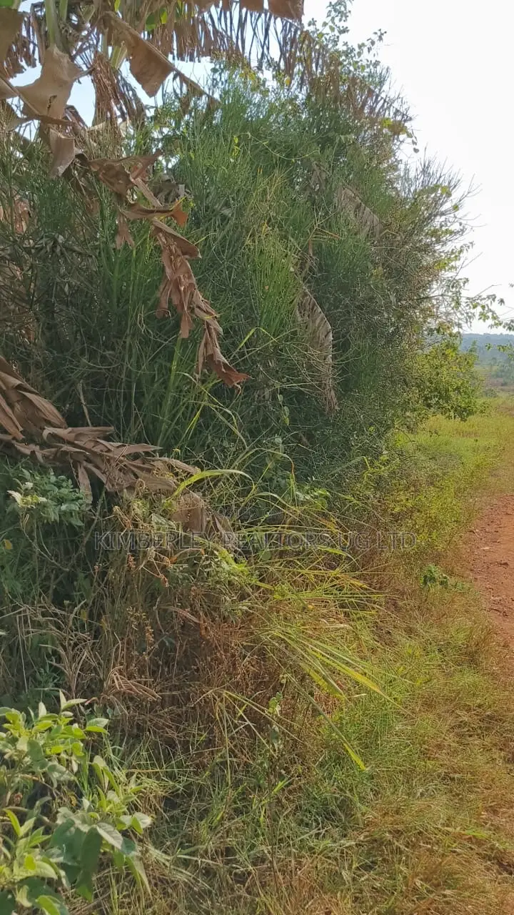 Land for Sale – Gayaza–kalagyi Road, Namalili in Division A