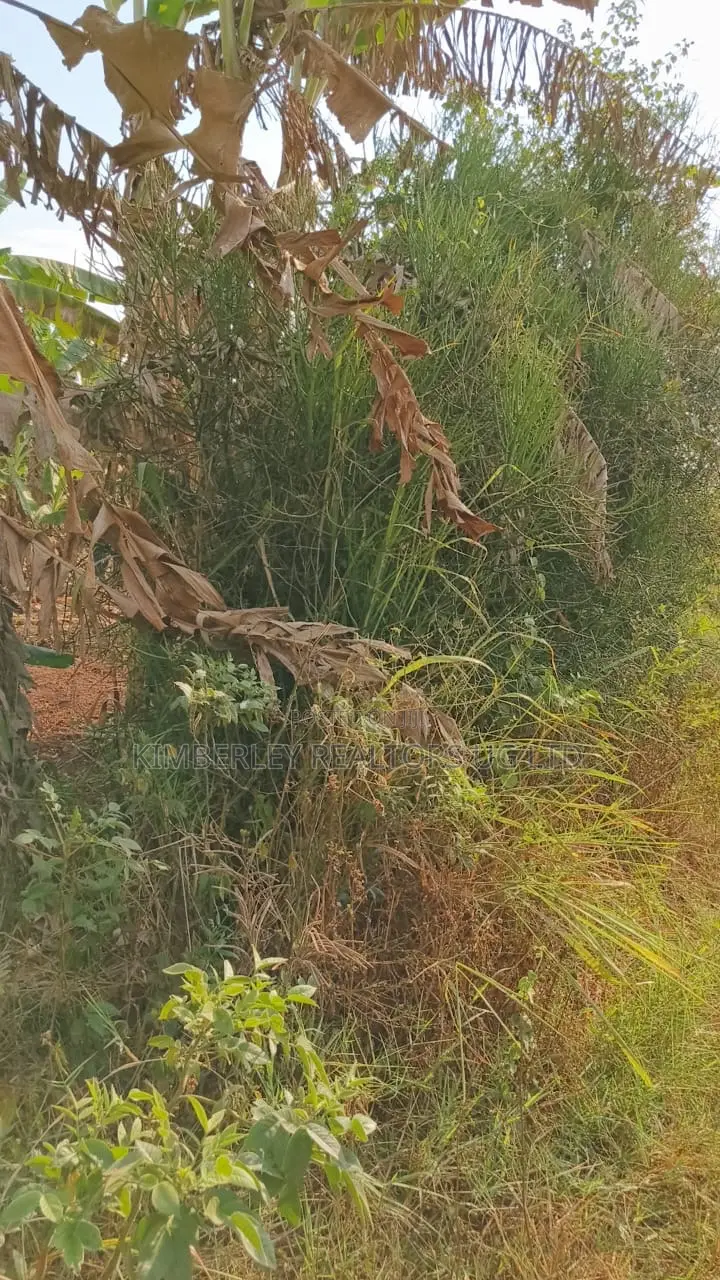 Land for Sale – Gayaza–kalagyi Road, Namalili in Division A