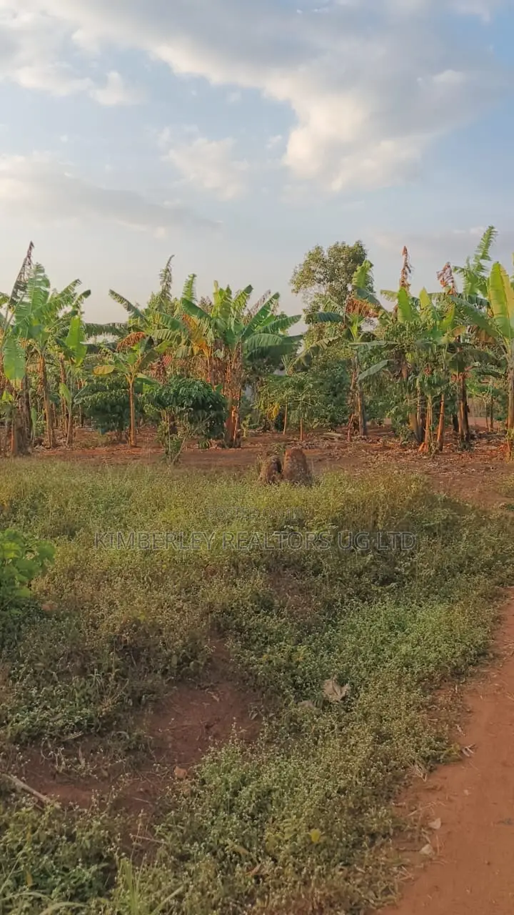 Land for Sale – Gayaza–kalagi Road, Namalili in Wakiso / Wakiso