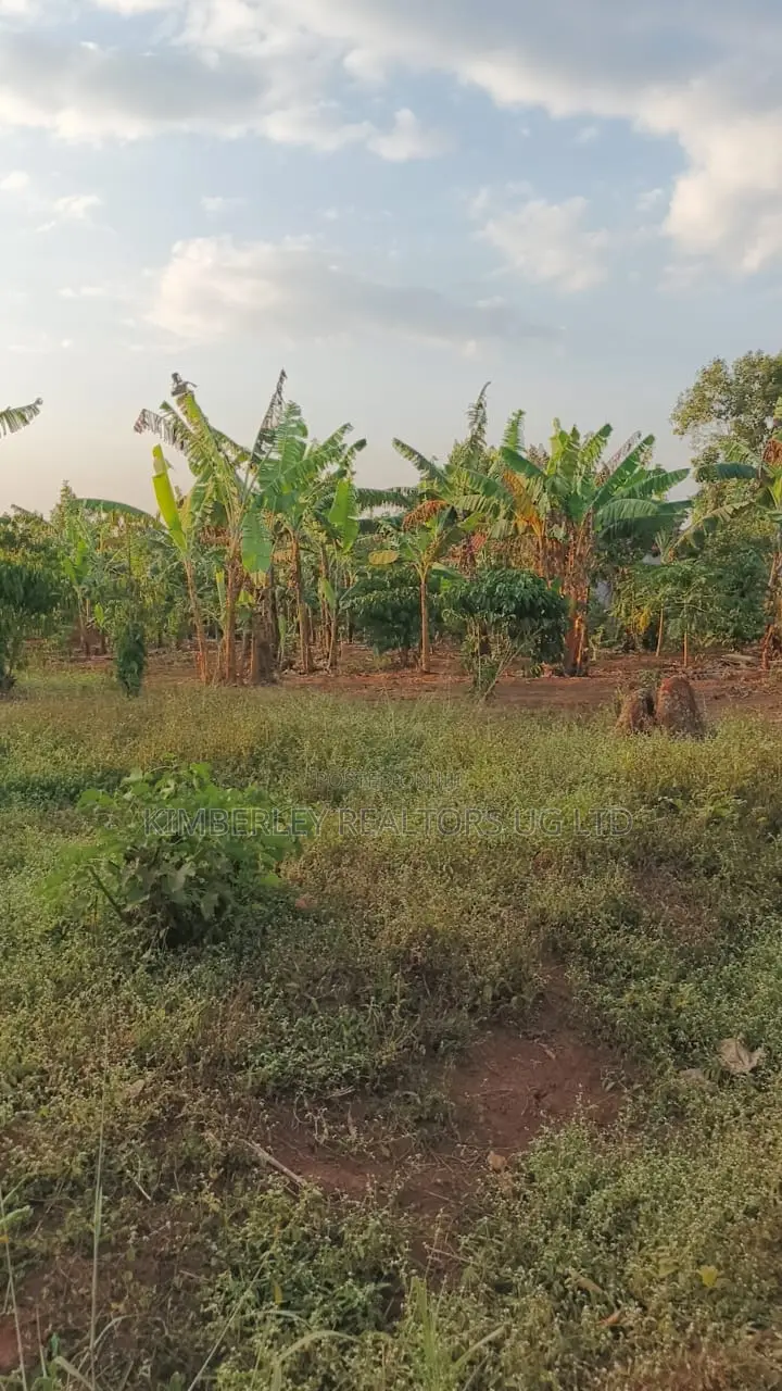 Land for Sale – Gayaza–kalagi Road, Namalili in Wakiso / Wakiso