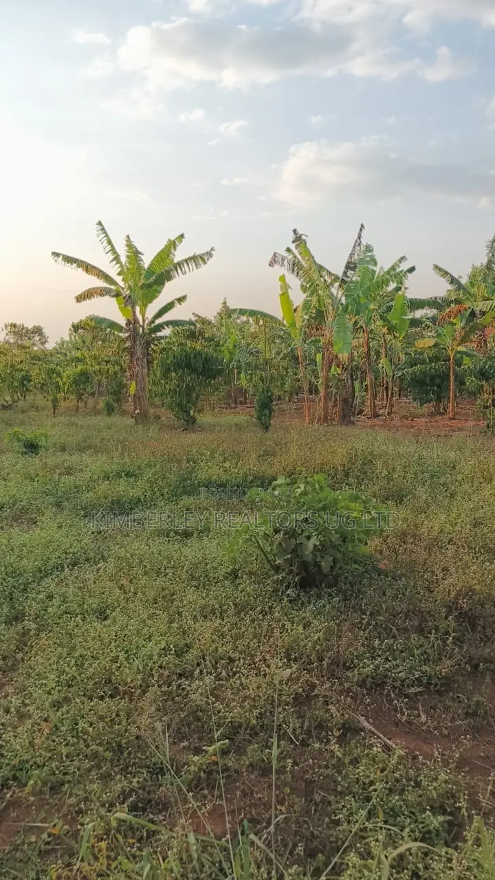 Land for Sale – Gayaza–kalagi Road, Namalili in Wakiso / Wakiso
