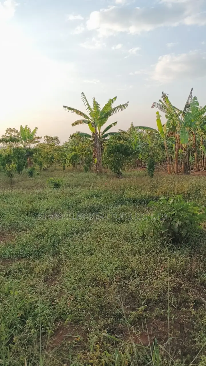 Land for Sale – Gayaza–kalagi Road, Namalili in Wakiso / Wakiso