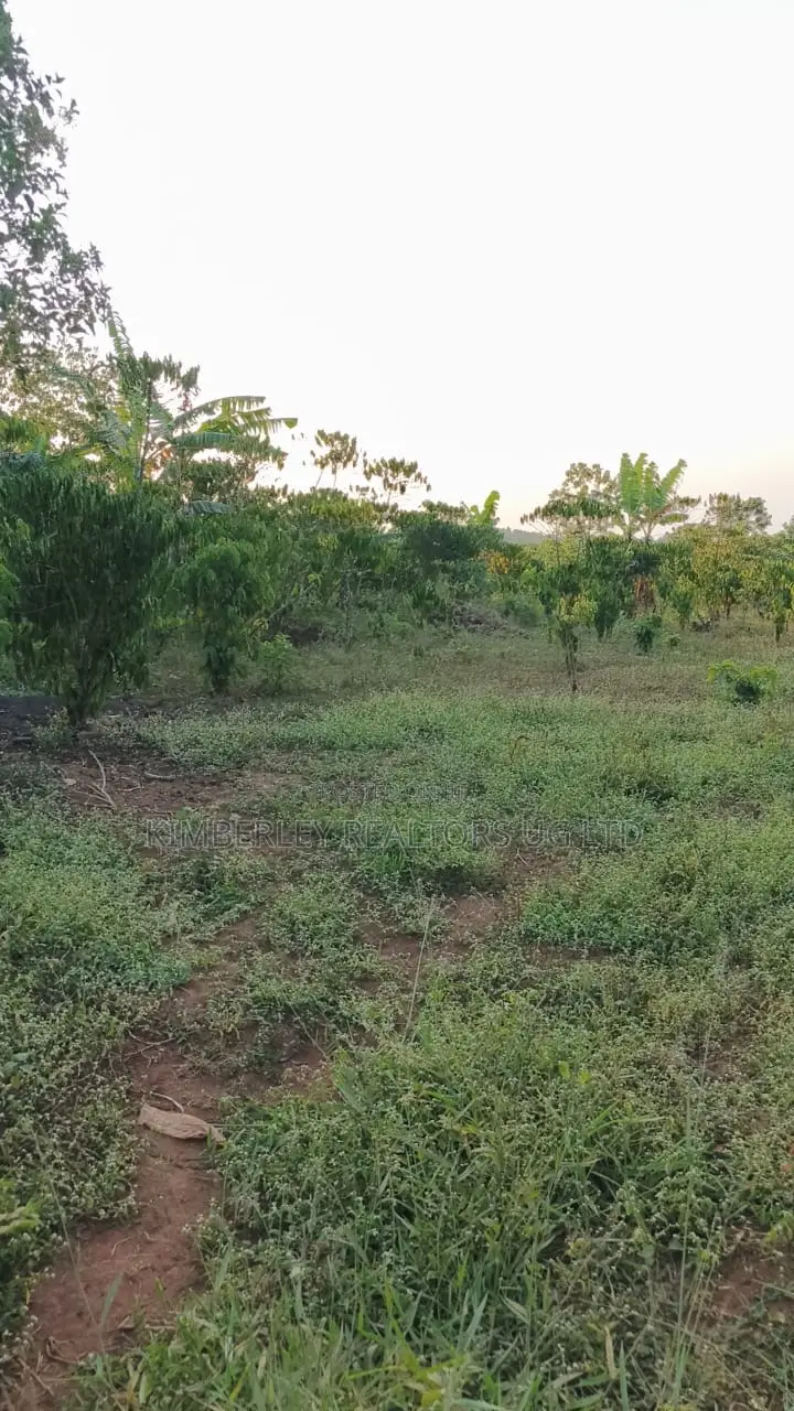 Land for Sale – Gayaza–kalagi Road, Namalili in Wakiso / Wakiso
