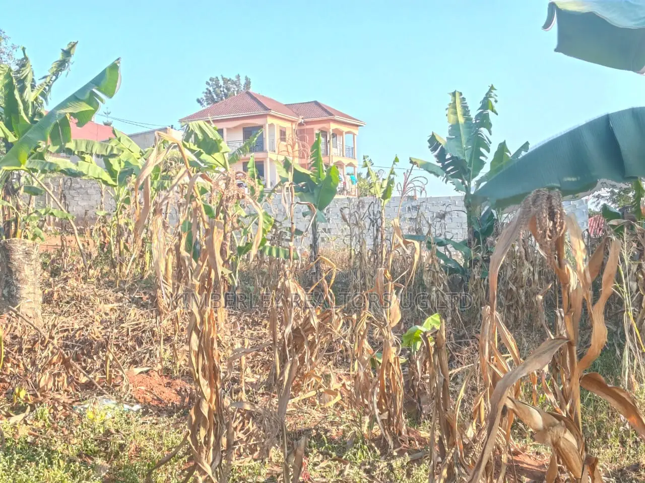Land for Sale – Seeta Bajjo in Seeta-Namuganga
