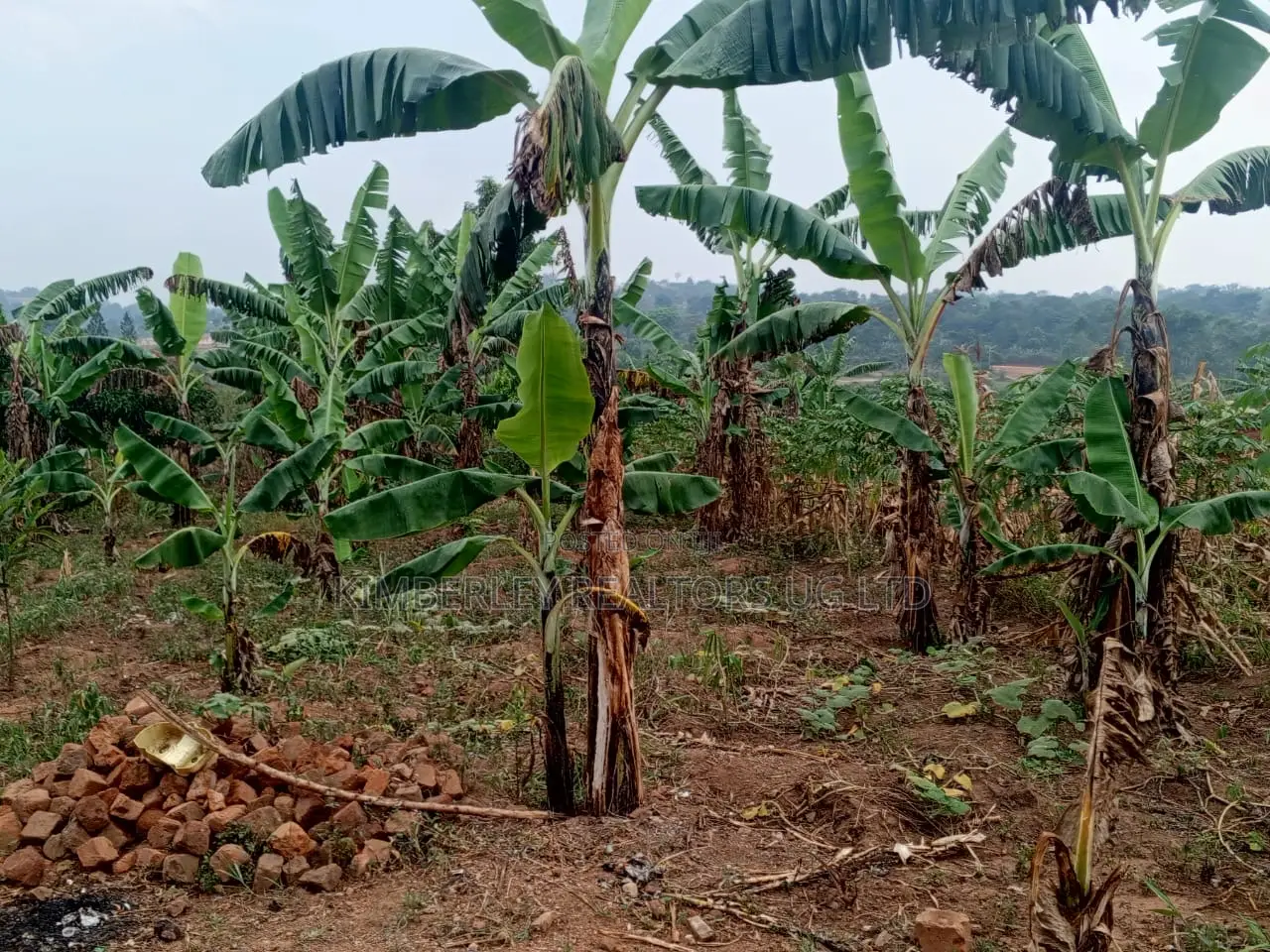Land for Sale – Migadde Kakelenge, Bombo Road in Division A