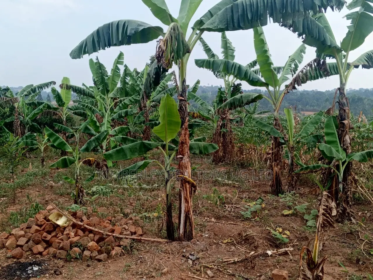 Land for Sale – Migadde Kakelenge, Bombo Road in Division A
