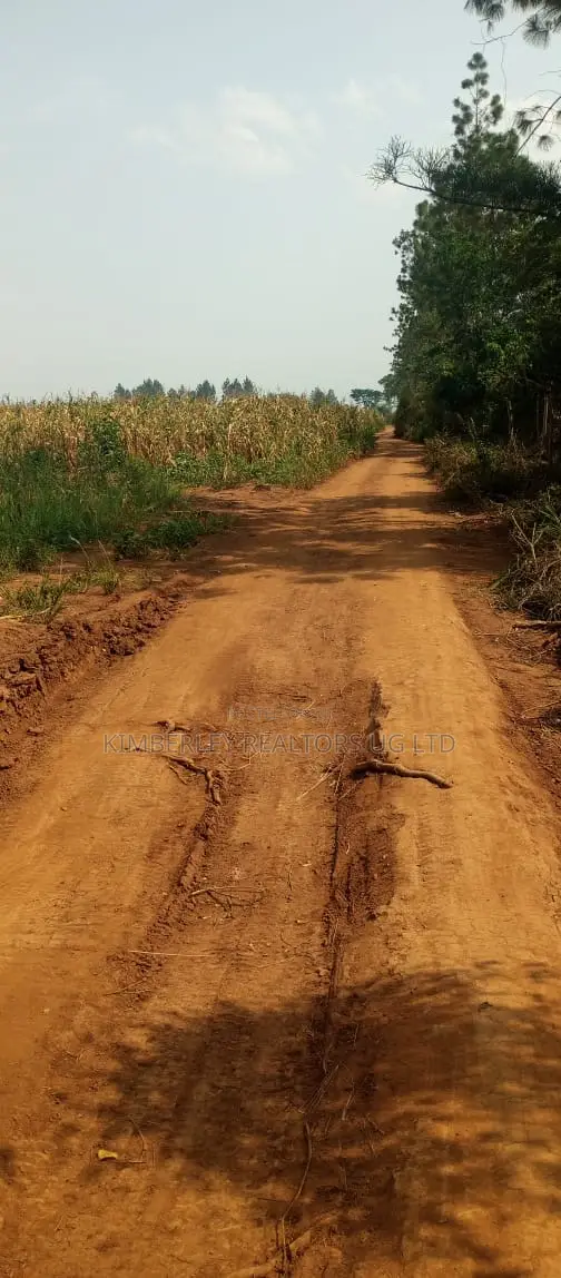 Land for Sale – Luweero in Wobulenzi TC