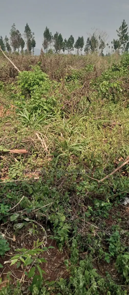 Land for Sale – Luweero in Wobulenzi TC