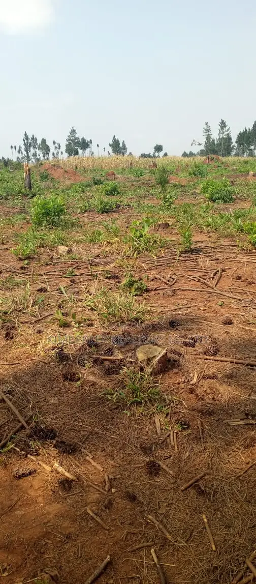 Land for Sale – Kira Parliamentary Sacco in Kira