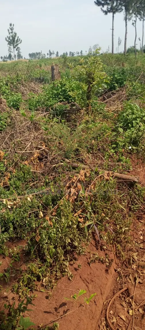Land for Sale – Kira Parliamentary Sacco in Kira