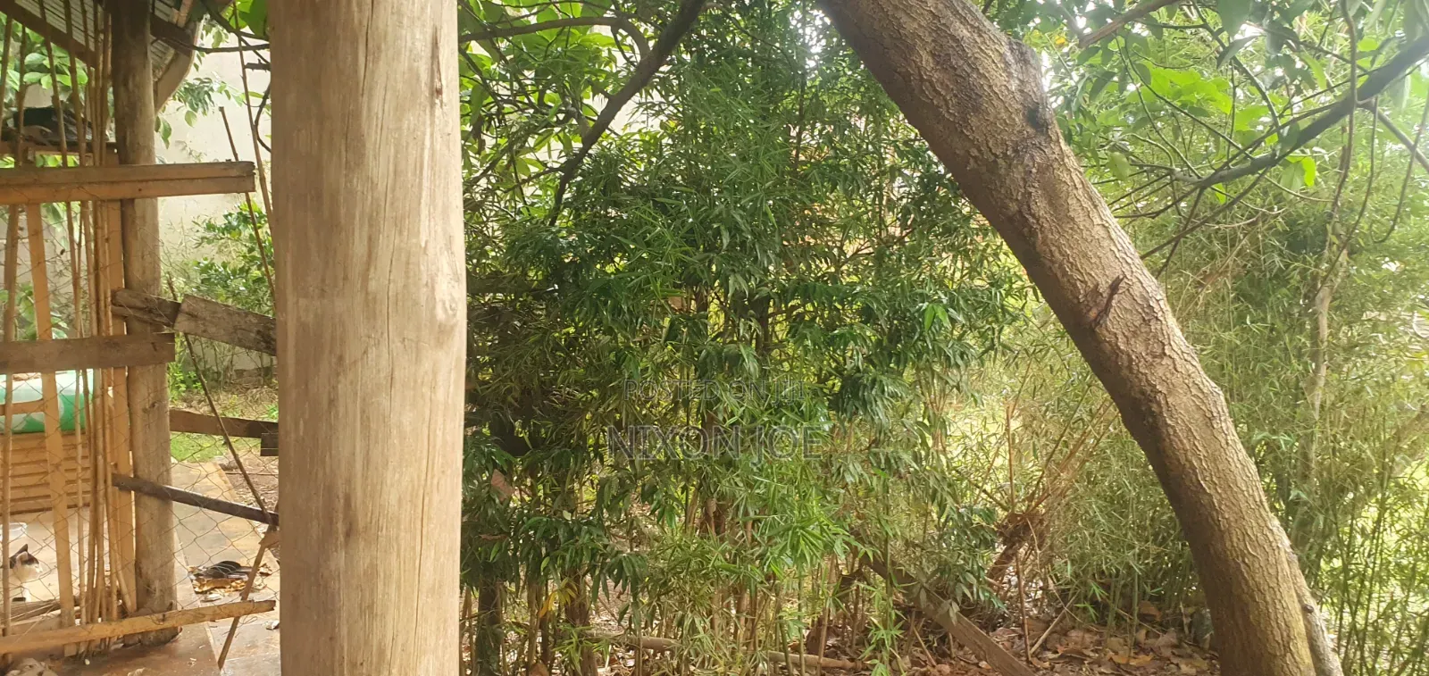 Bamba Kitagobya in Wakiso / Wakiso