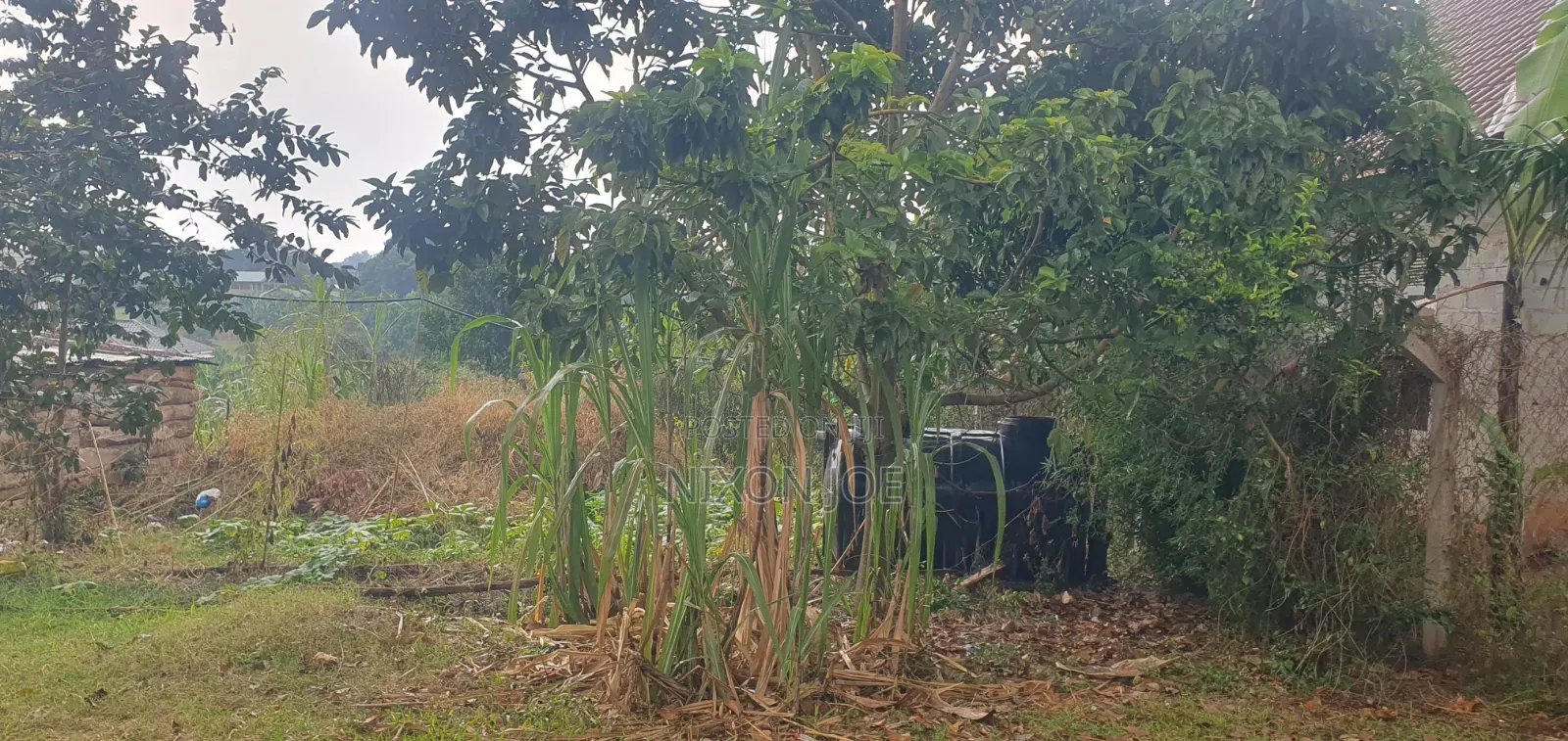 Bamba Kitagobya in Wakiso / Wakiso