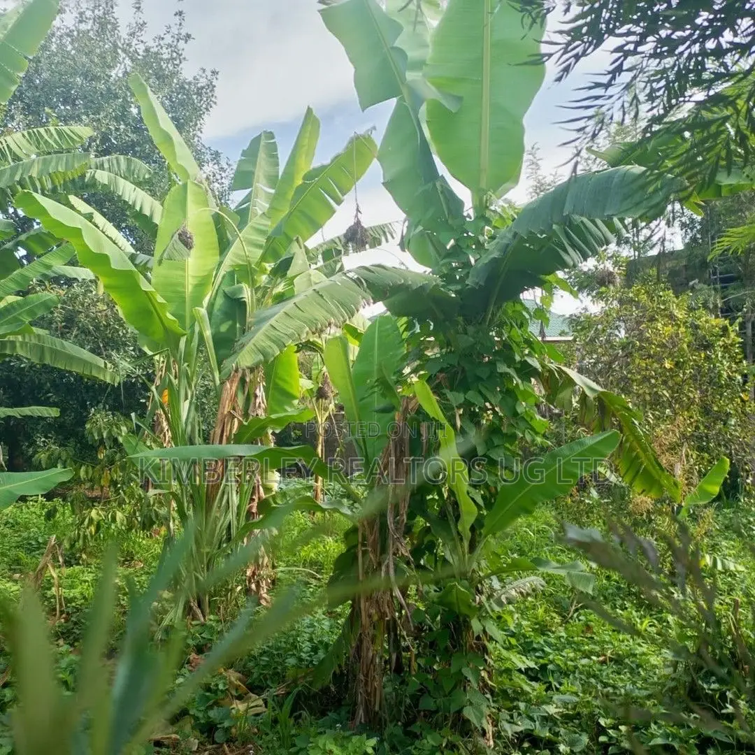 Land for Sale – Kira Kito, Mamerito Road in Kira
