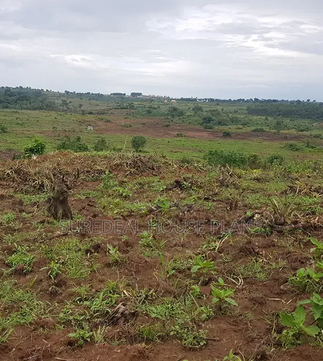 Land for Sale at Kayunga Busana 3 Achers of Land at 40,00000 in Busana