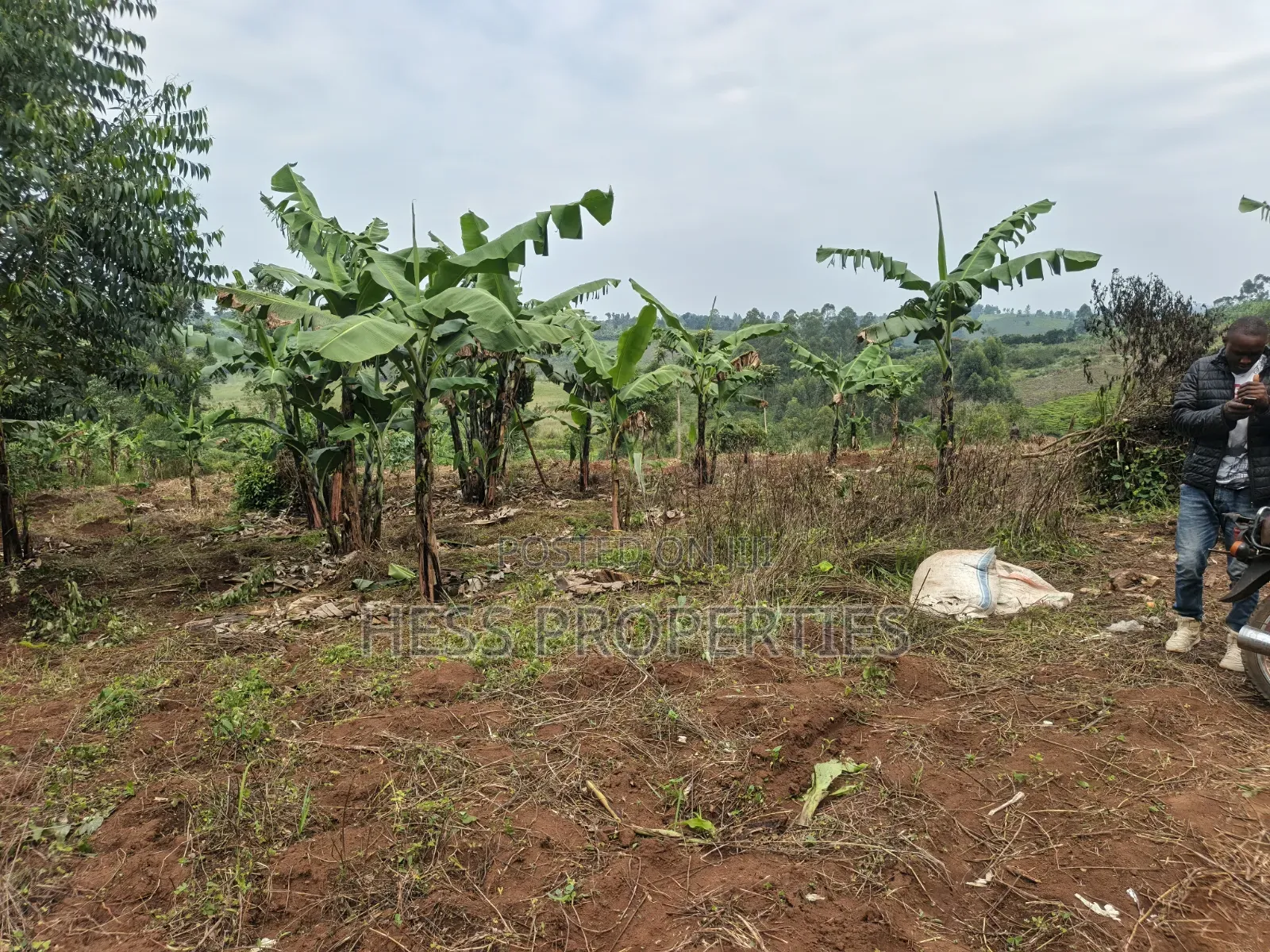 1.8acres of Agricultural Land on Sale in Kyenjojo District in Kyenjojo