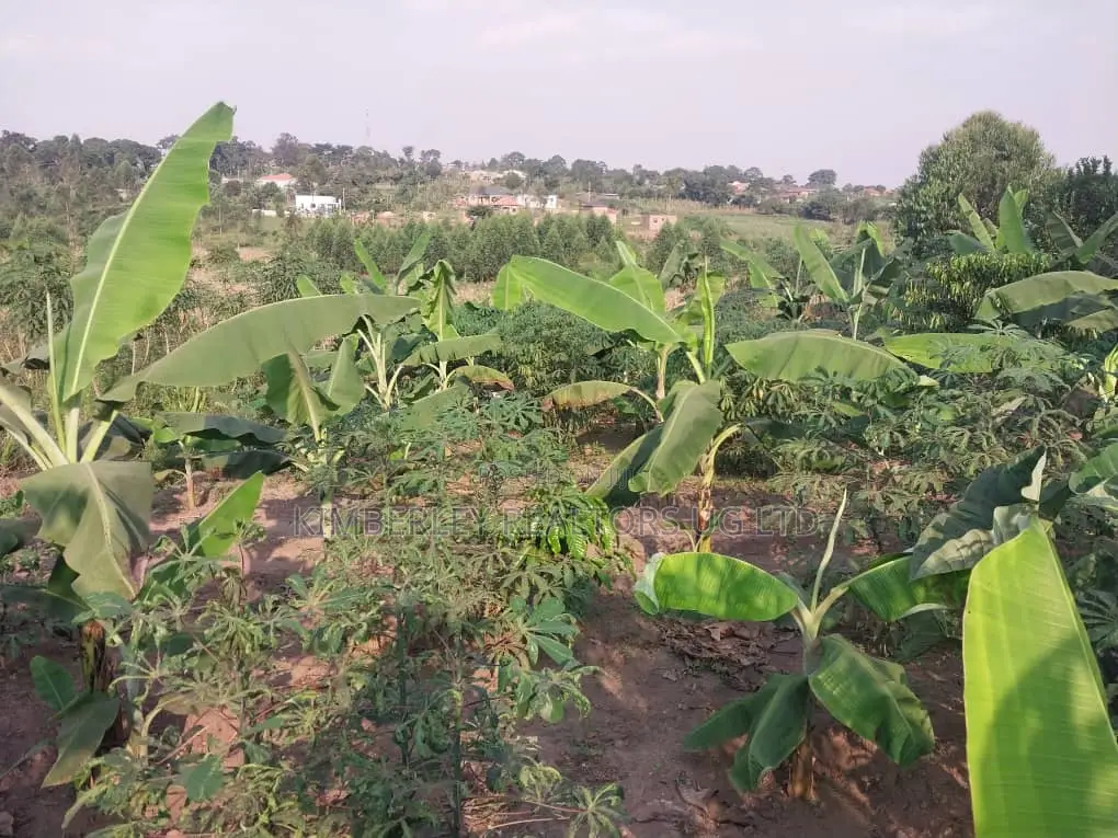 Land for Sale – Matugga Kavule in Division A
