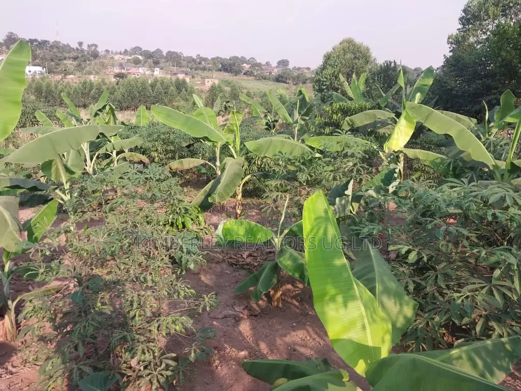Land for Sale – Matugga Kavule in Division A