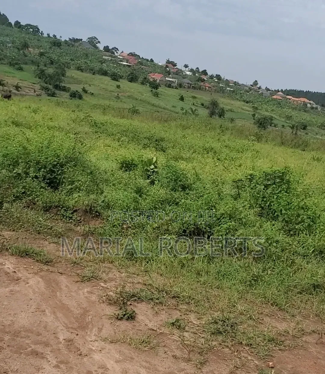 Titled Plot of Land in Matugga Kigogwa in Wakiso / Wakiso