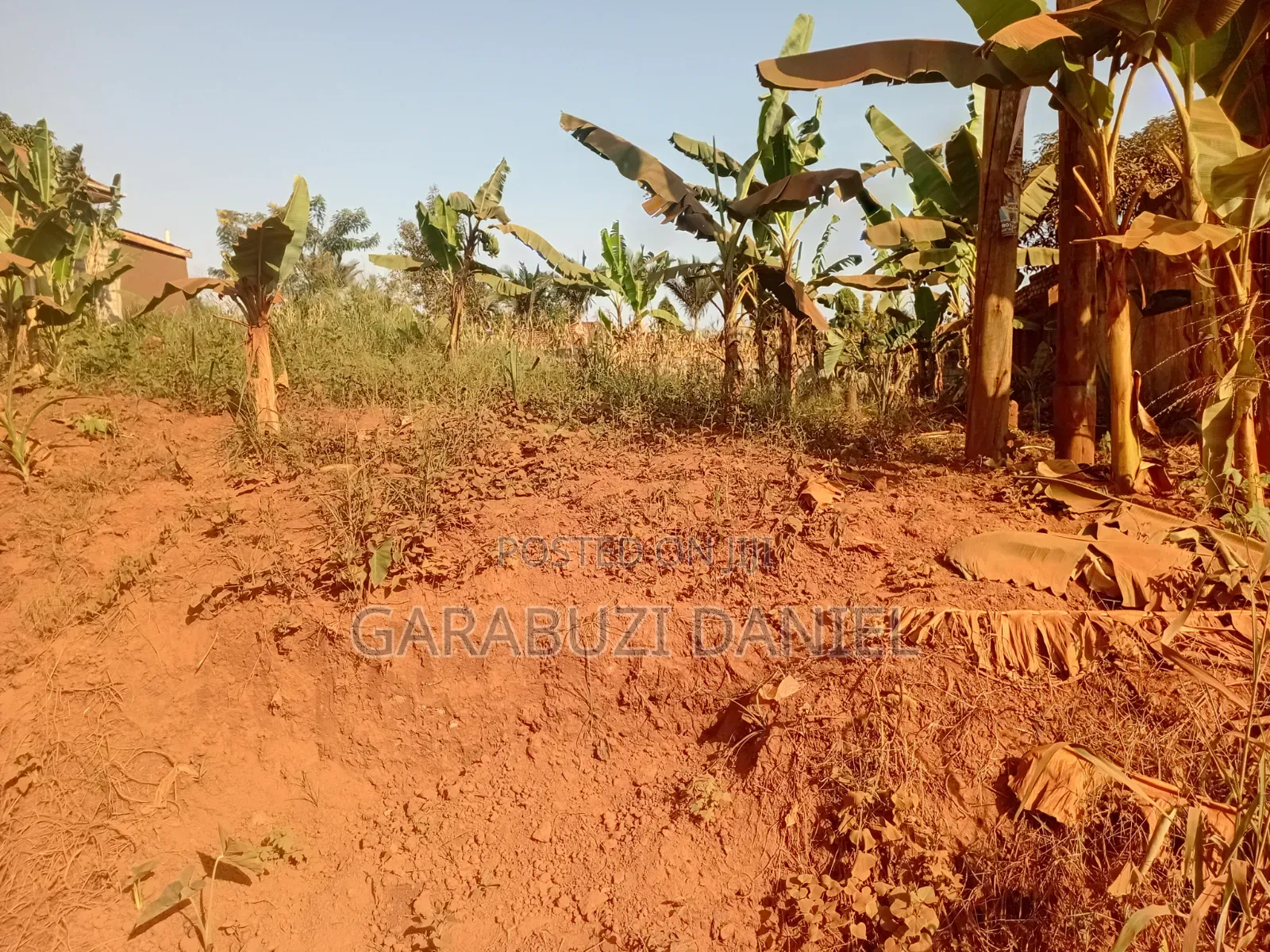 Selling Land in Ssisa