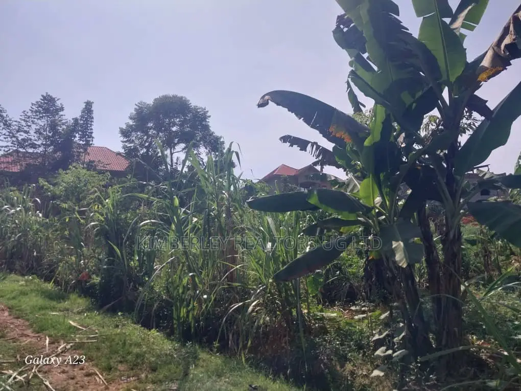 Land for Sale – Busega in Division A