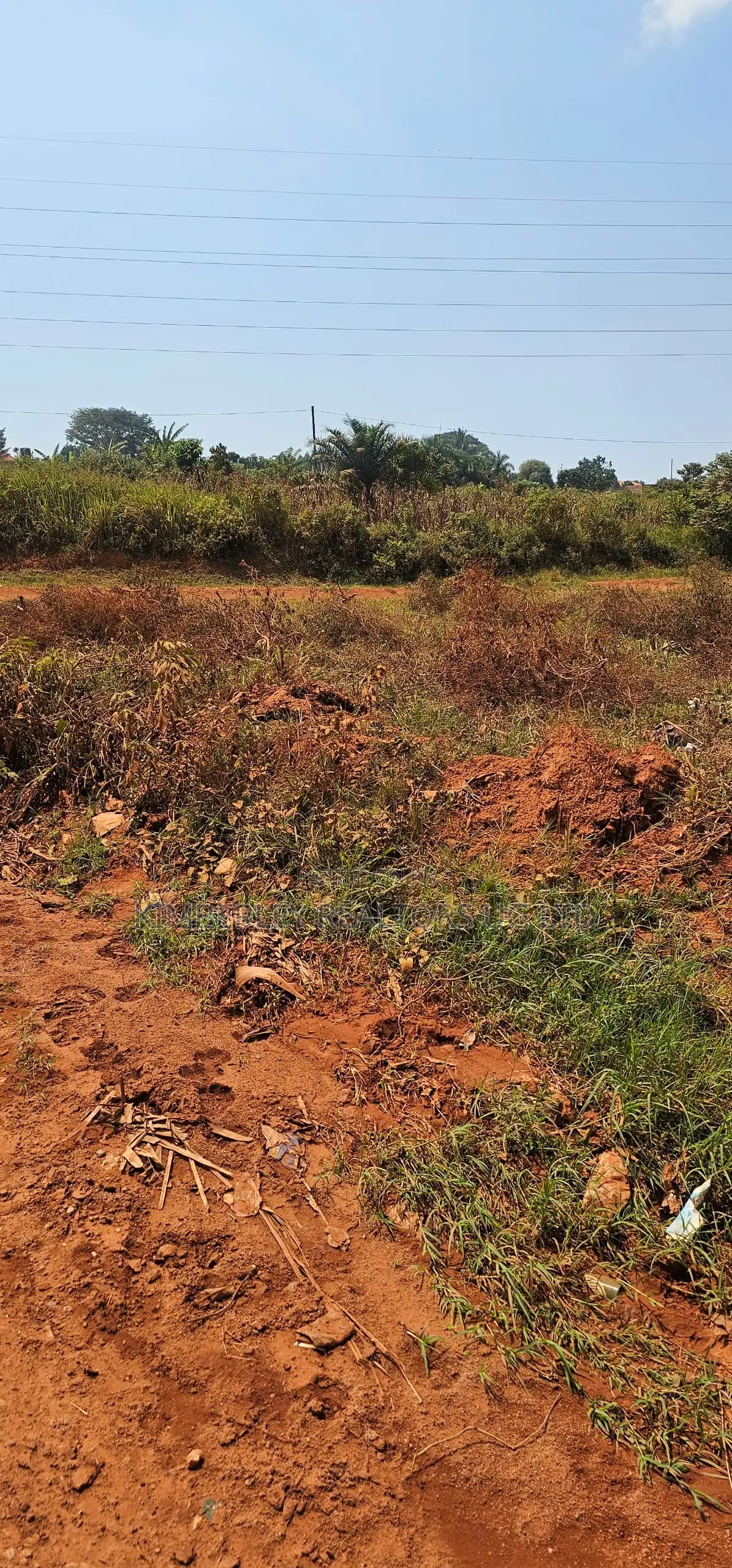 Land for Sale – Kiwologoma Town in Kira