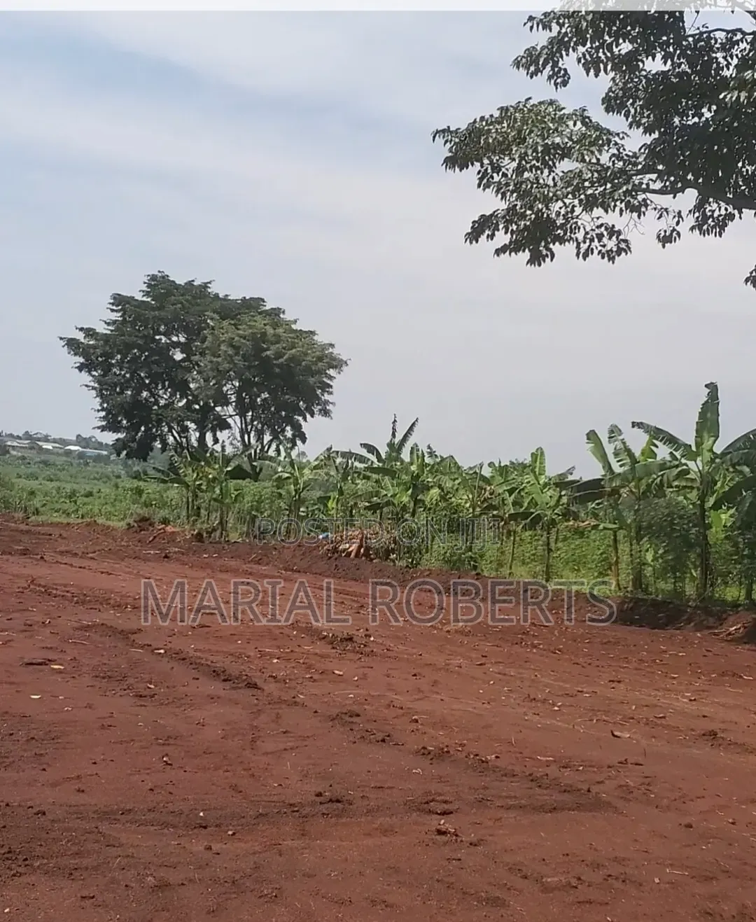 New Estate in Busiika With Title Plots for Sale . in Wakiso / Wakiso