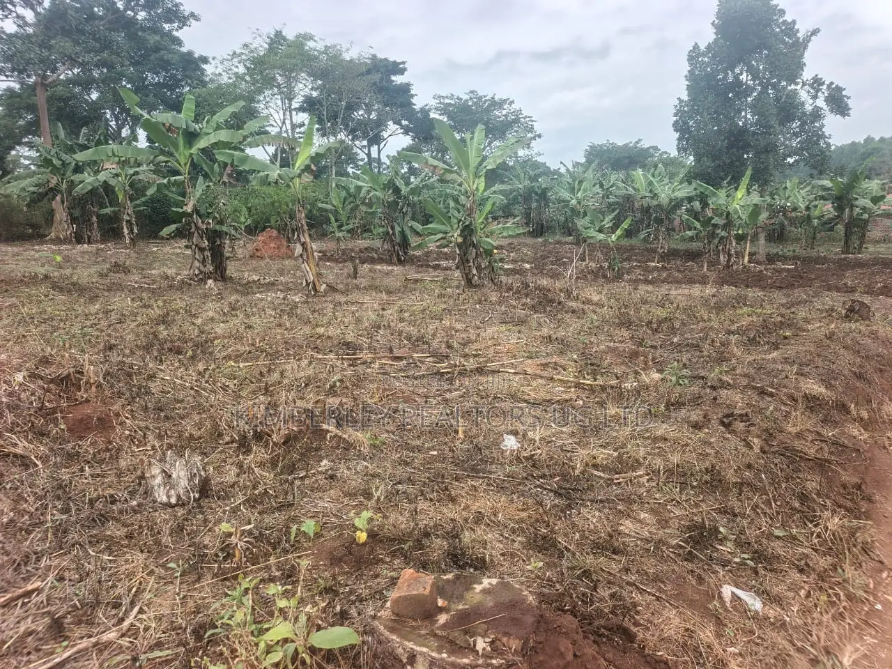 Land for Sale – Namugongo Budugala (Mpoma Estates Road) in Division A