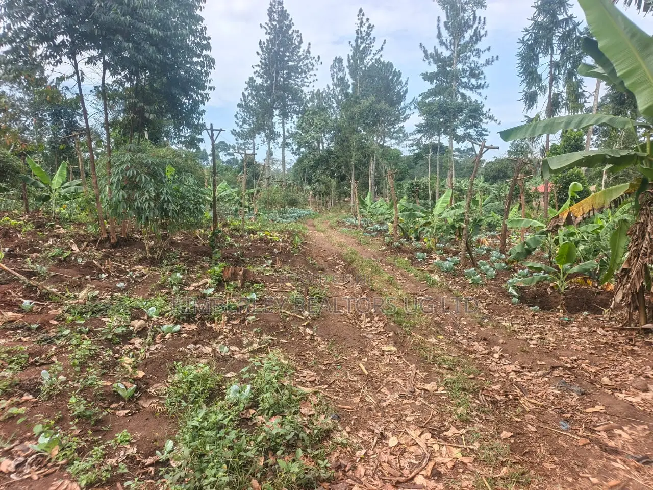 Land for Sale – Namugongo Budugala (Mpoma Estates Road) in Division A