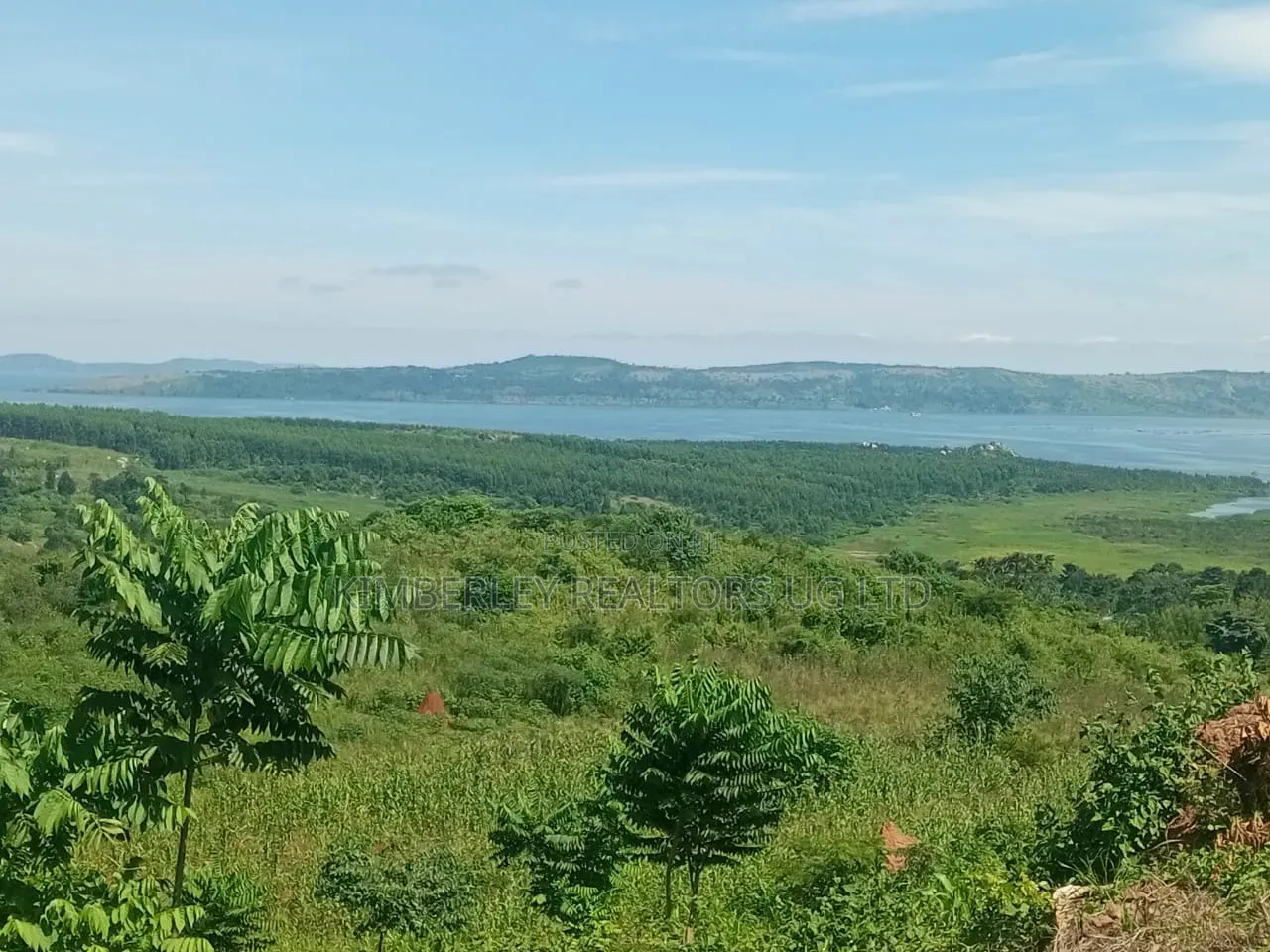 Lakeshore Land/Beach for Sale – Lake Victoria Bugiri, Entebbe Road in Division A