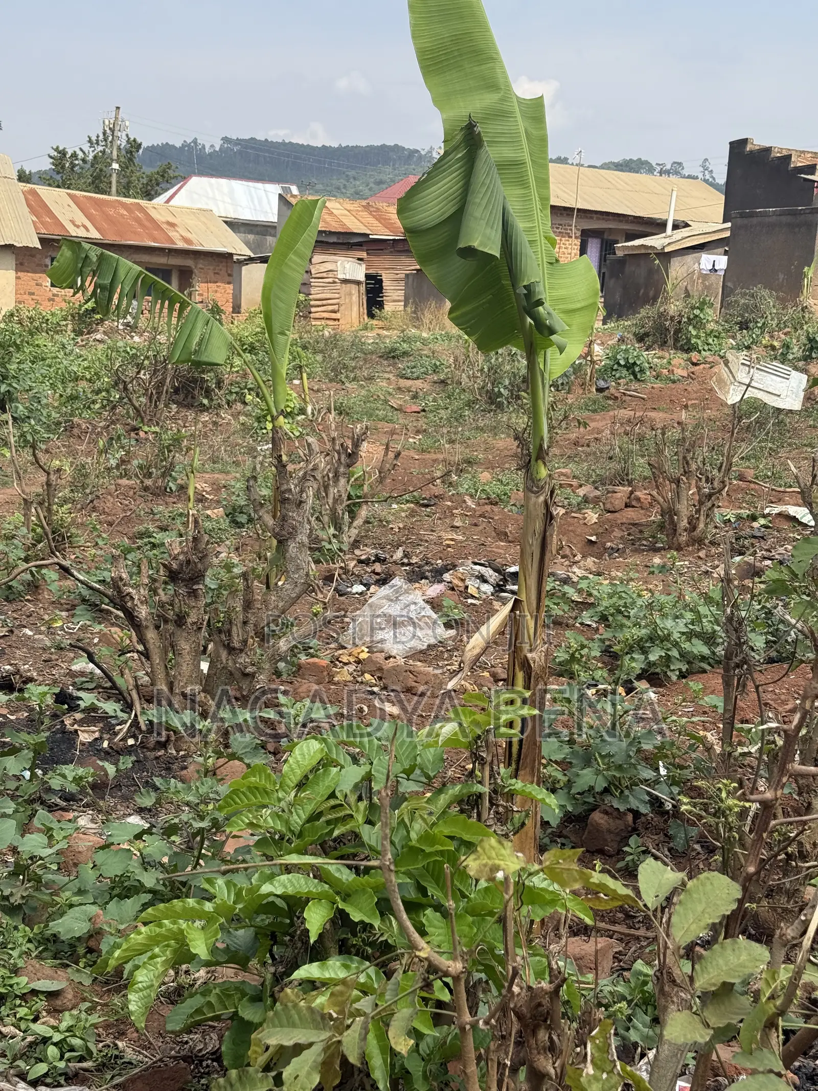 Plot for Sell at Bakka Wakiso District Next to Bakka Police Station in Wakiso / Wakiso