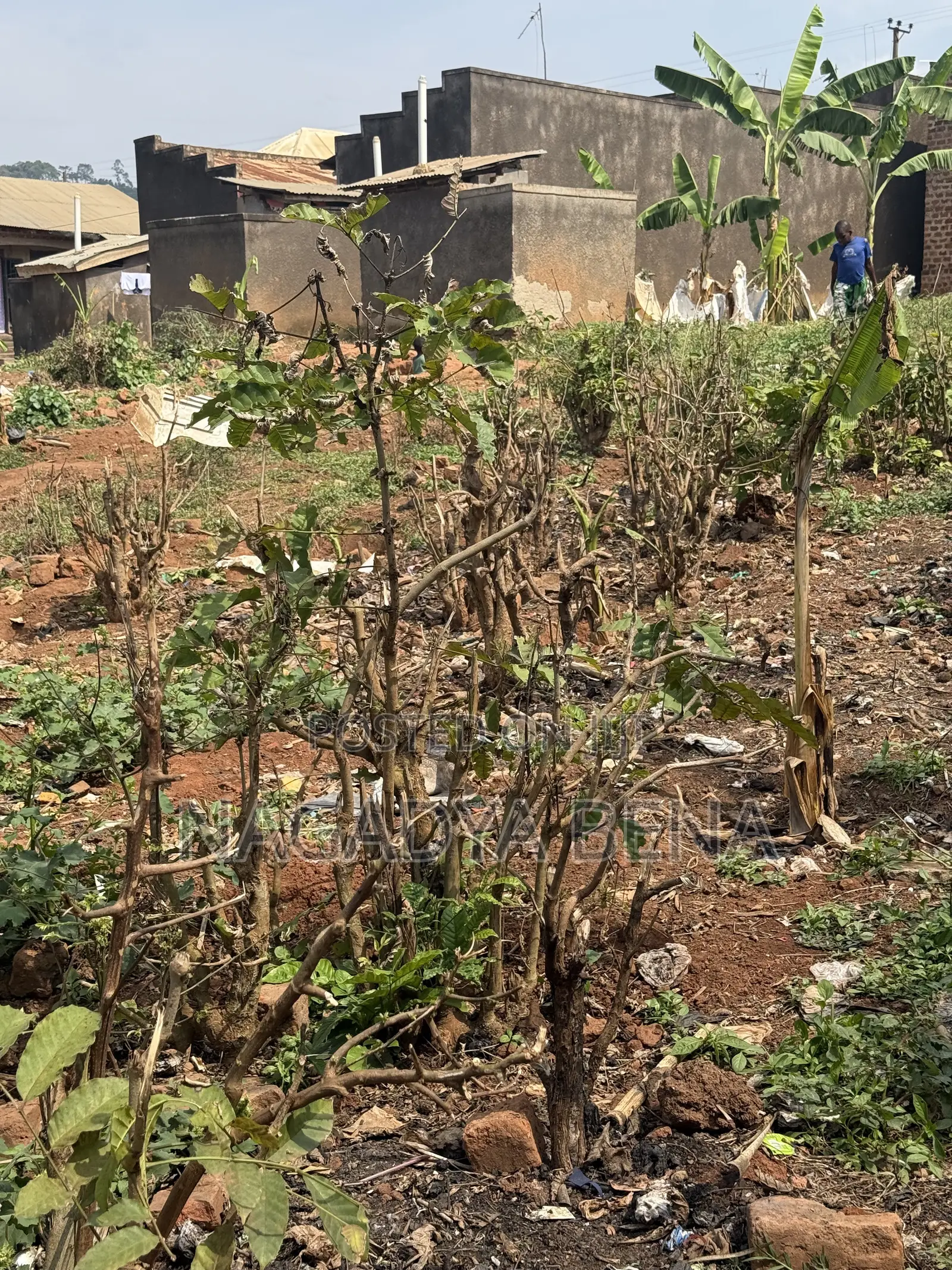 Plot for Sell at Bakka Wakiso District Next to Bakka Police Station in Wakiso / Wakiso