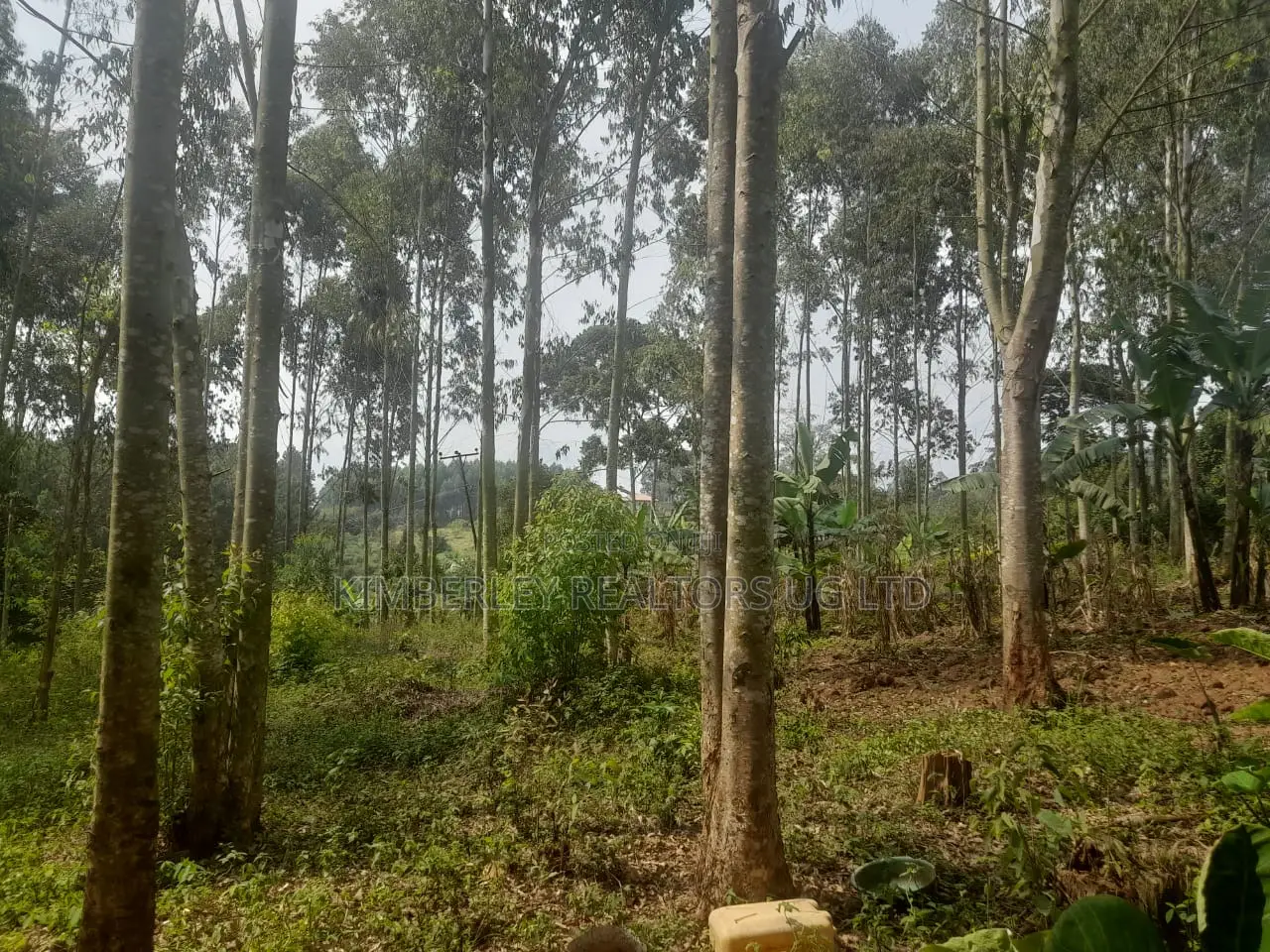 Land for Sale – Kalagala in Division A