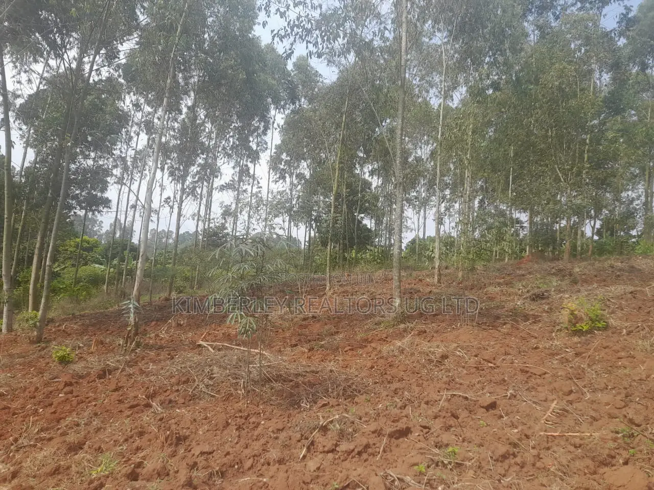 Land for Sale – Kalagala in Division A
