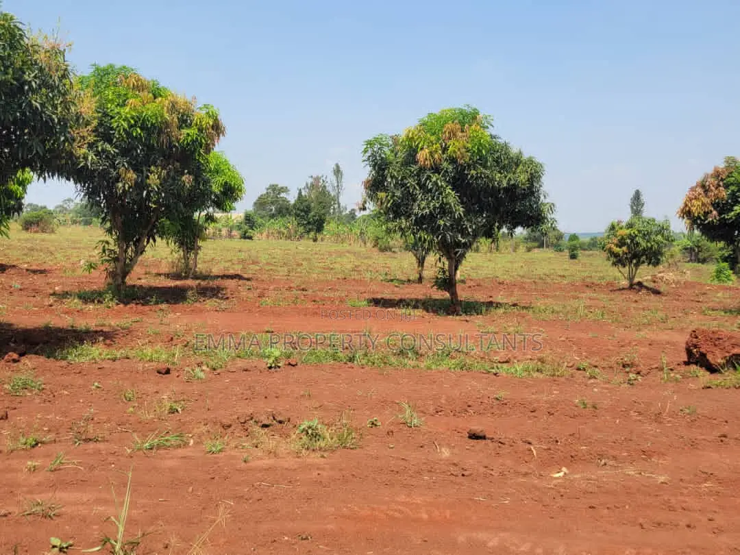 Mukono Kisoga Town Estate in Mukono TC