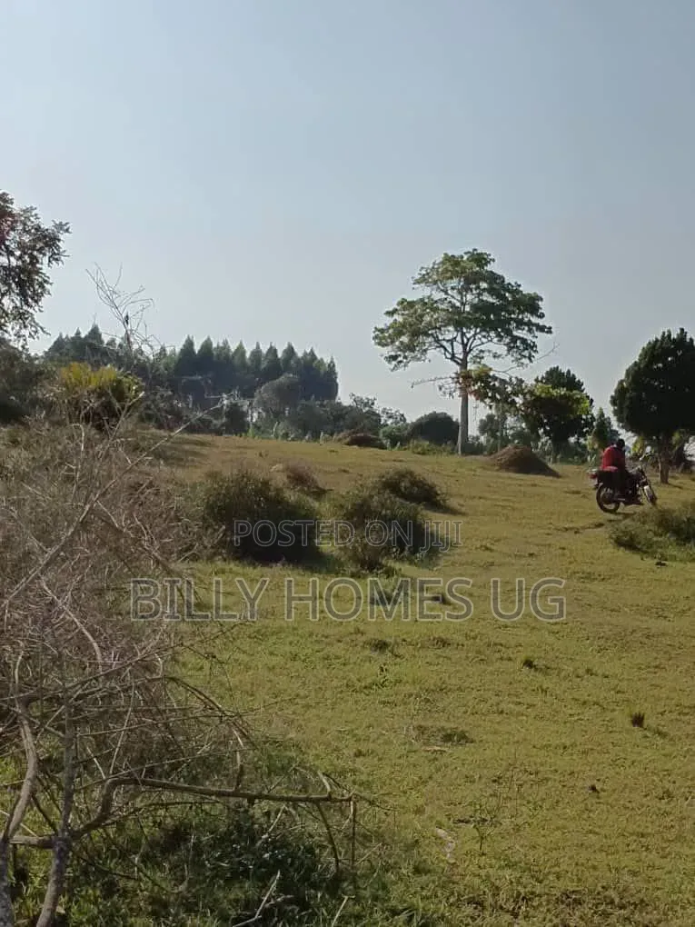 Lake Front Land for Sale Located in Buwaya-Entebbe in Kasanje