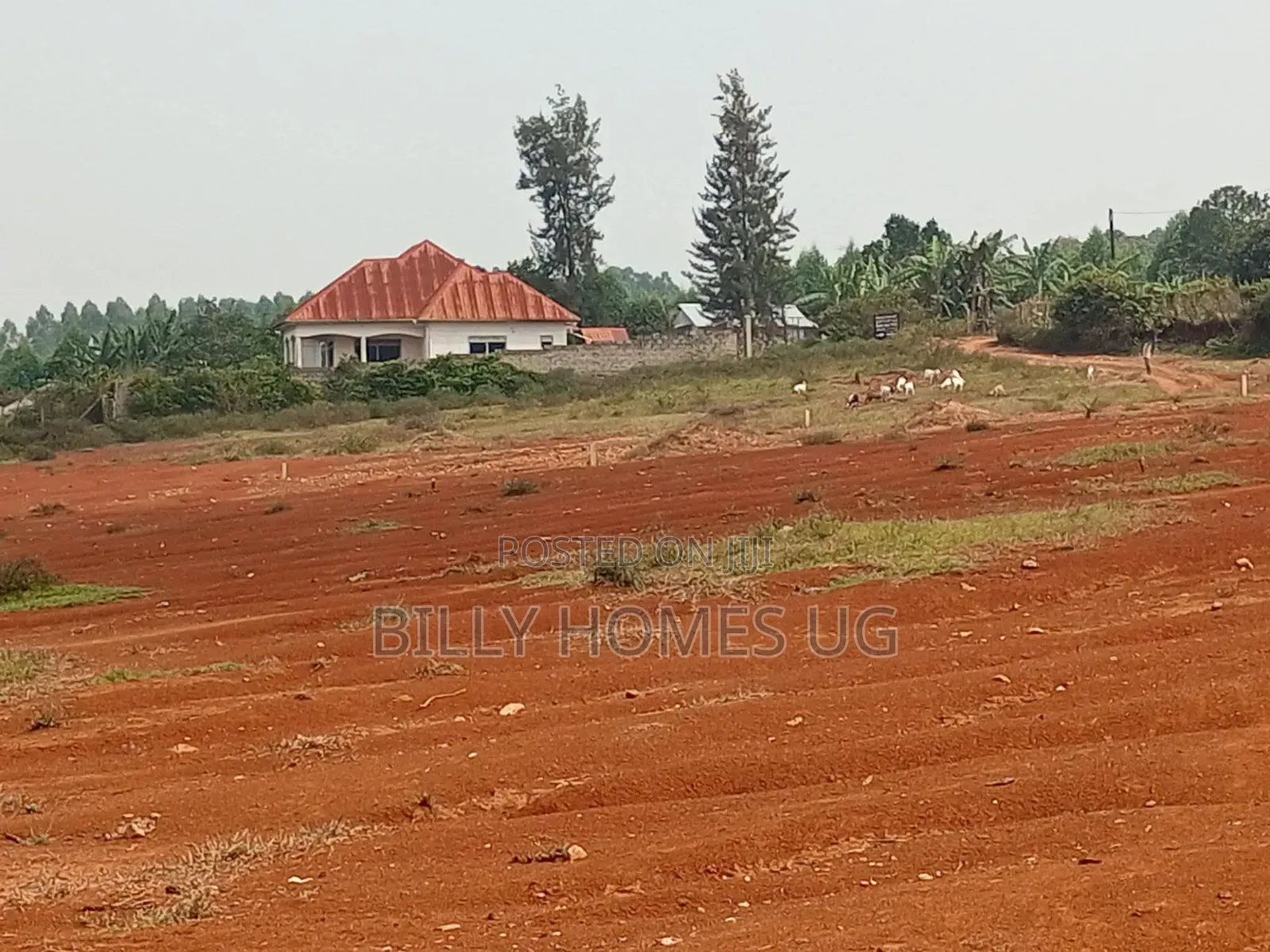 Plots for Sale Located in Kitende-Kitovu in Ssisa