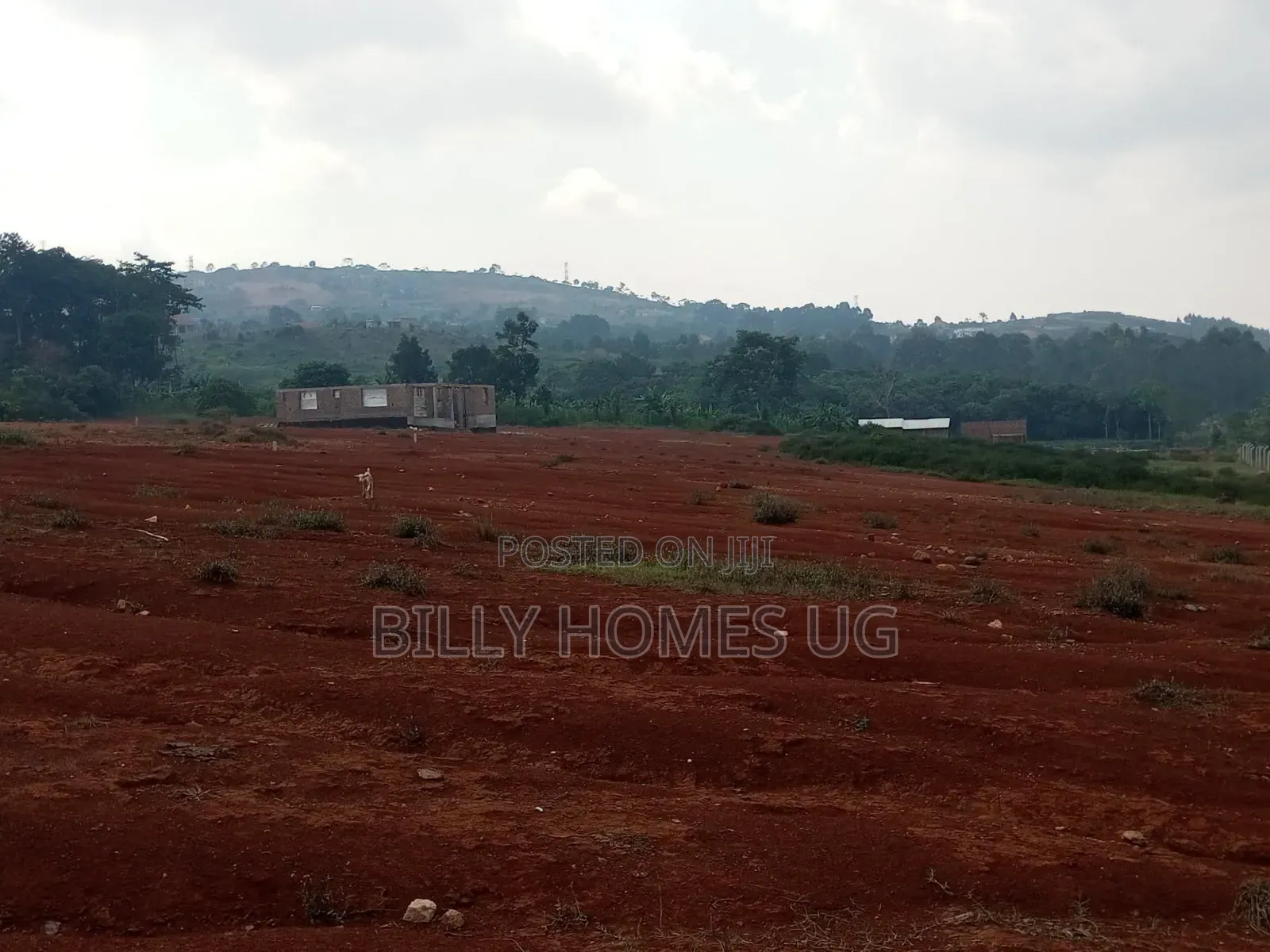 Plots for Sale Located in Kitende-Kitovu in Ssisa