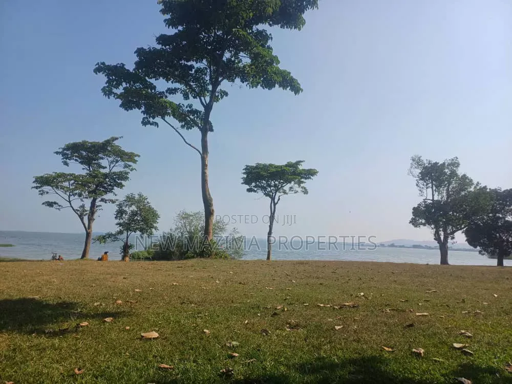 Plots Measuring Direct on Lake on Quicksale in Heart of Busabaala in Central Division